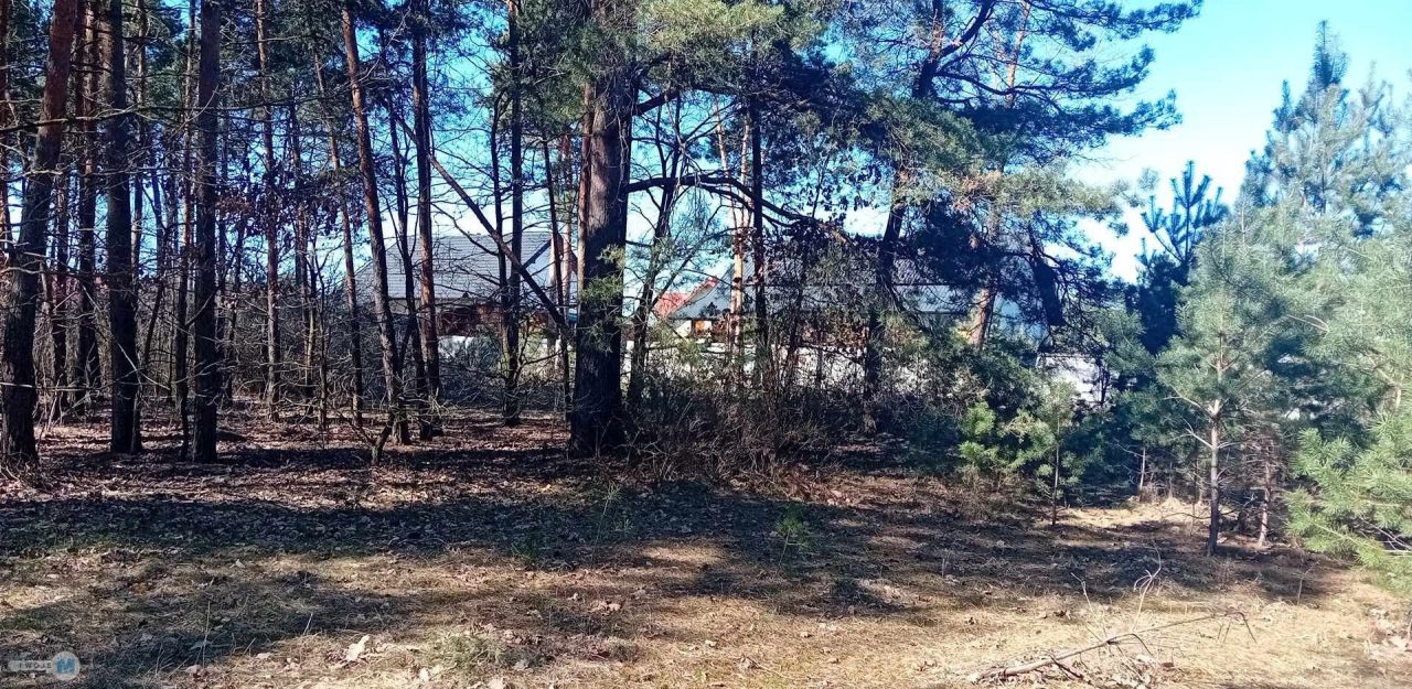 Działka budowlana Morawica, ul. Leszczynowa. Zdjęcie 4
