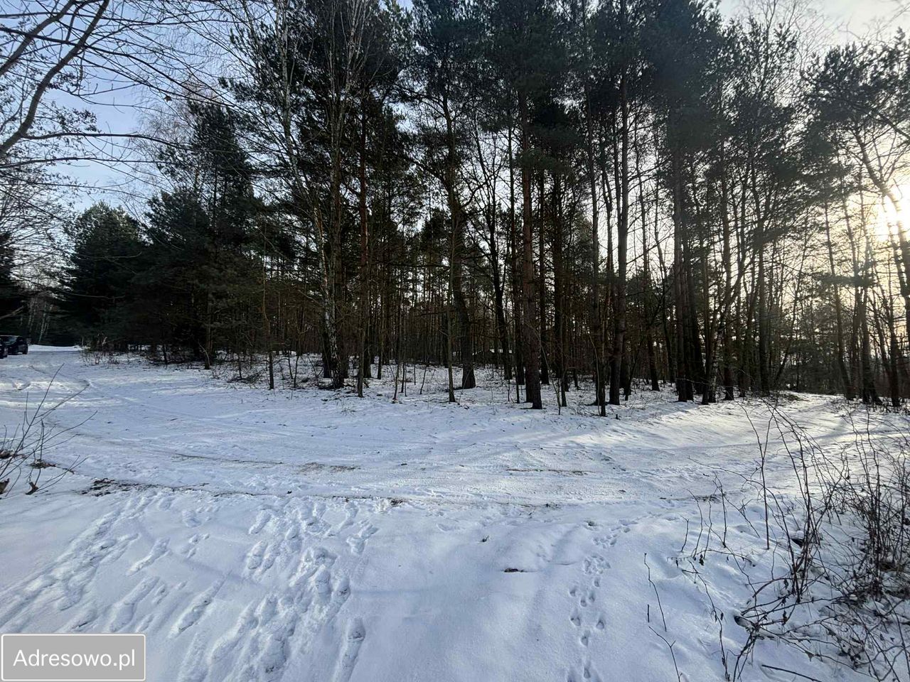 Działka leśna Kuźnica Żerechowska. Zdjęcie 7