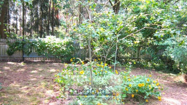 dom wolnostojący, 4 pokoje Urle. Zdjęcie 16