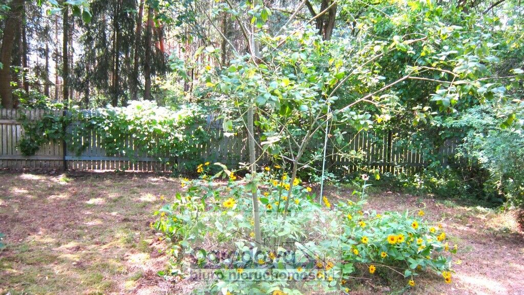 dom wolnostojący, 4 pokoje Urle. Zdjęcie 16