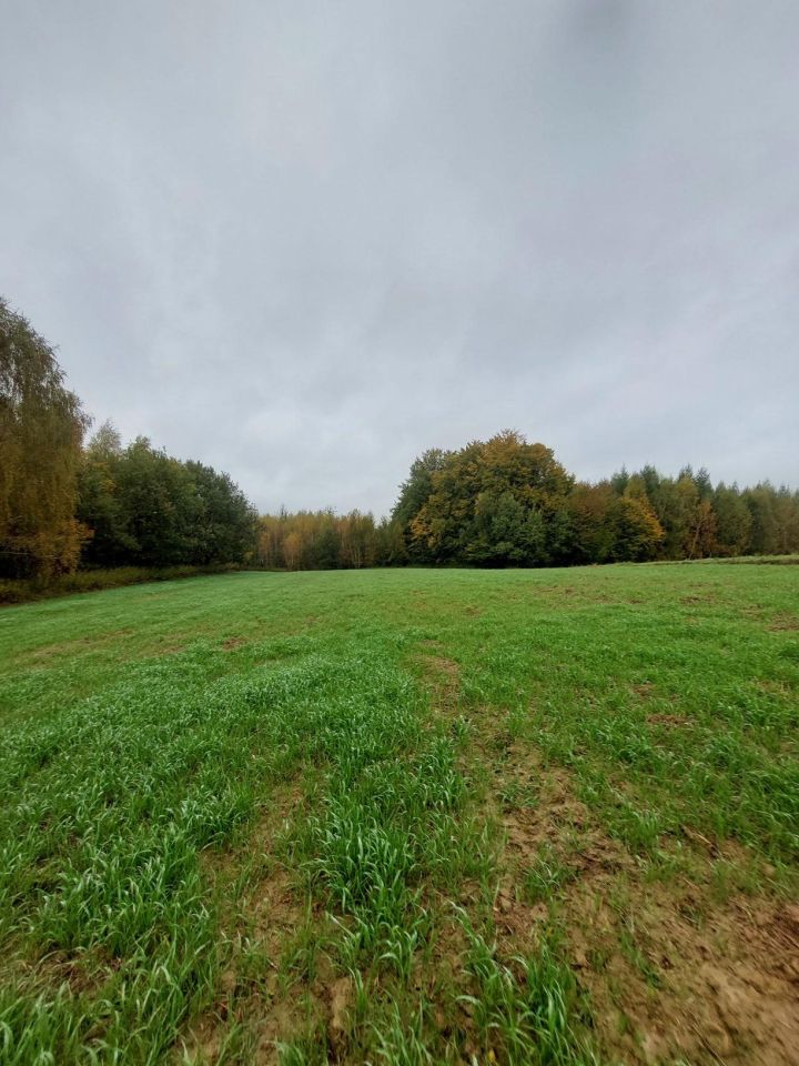 Działka rolna Pstrągowa. Zdjęcie 2