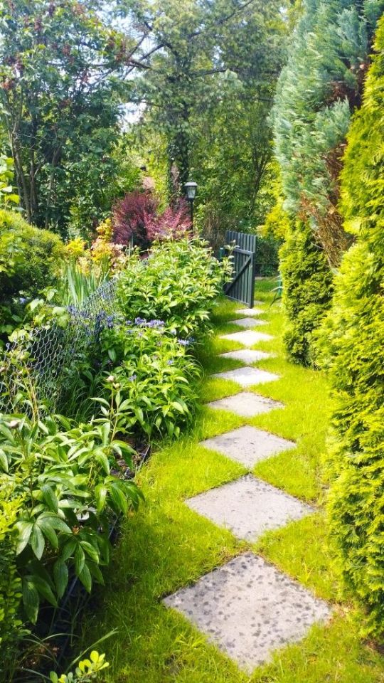 Działka rod Kraków Zwierzyniec, ul. Do Przystani