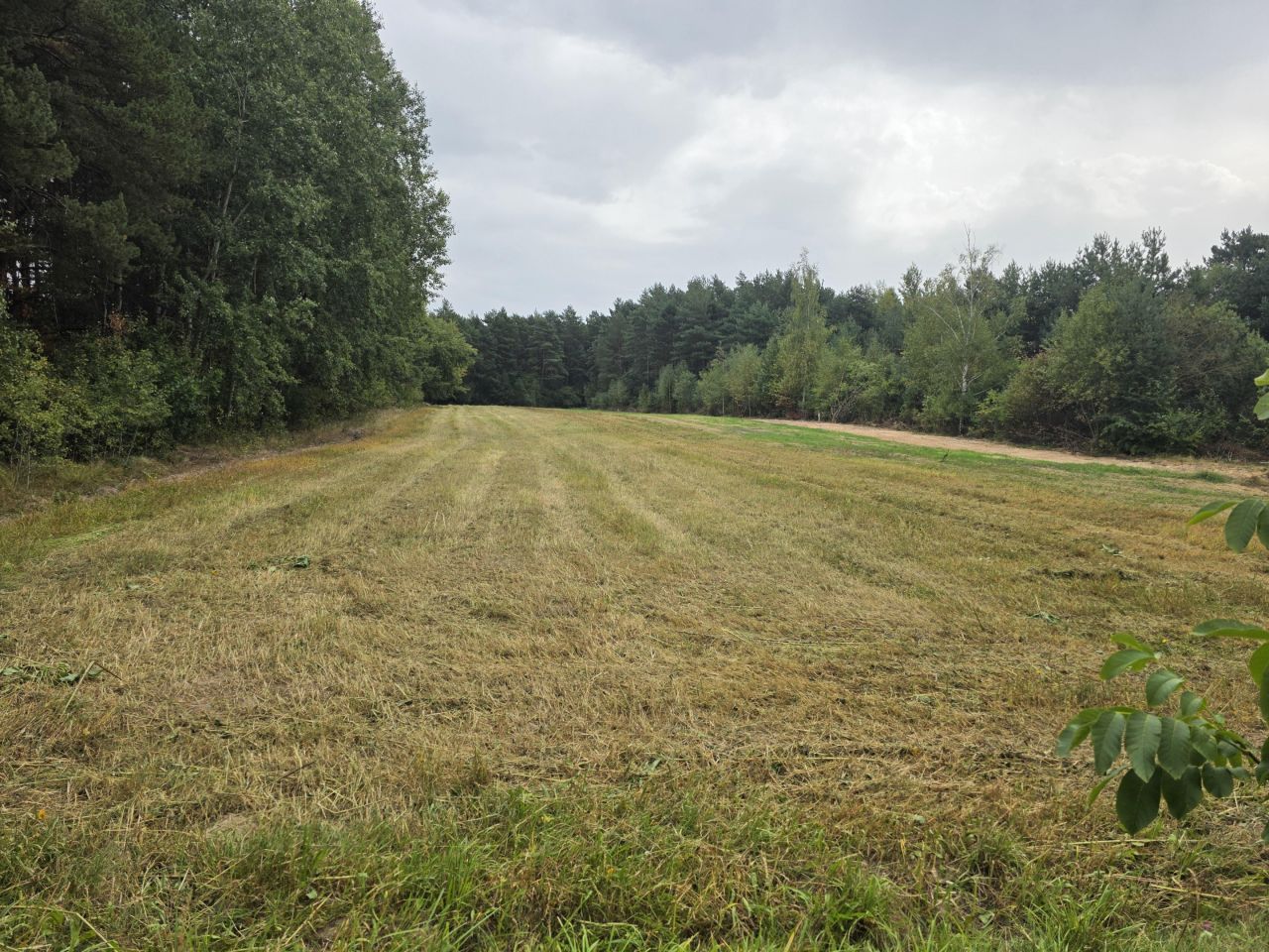 Działka inwestycyjna Suków Pastwisko. Zdjęcie 7