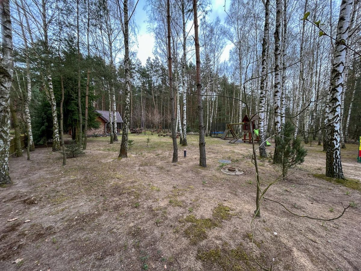 Działka rekreacyjna Cegielnia. Zdjęcie 12