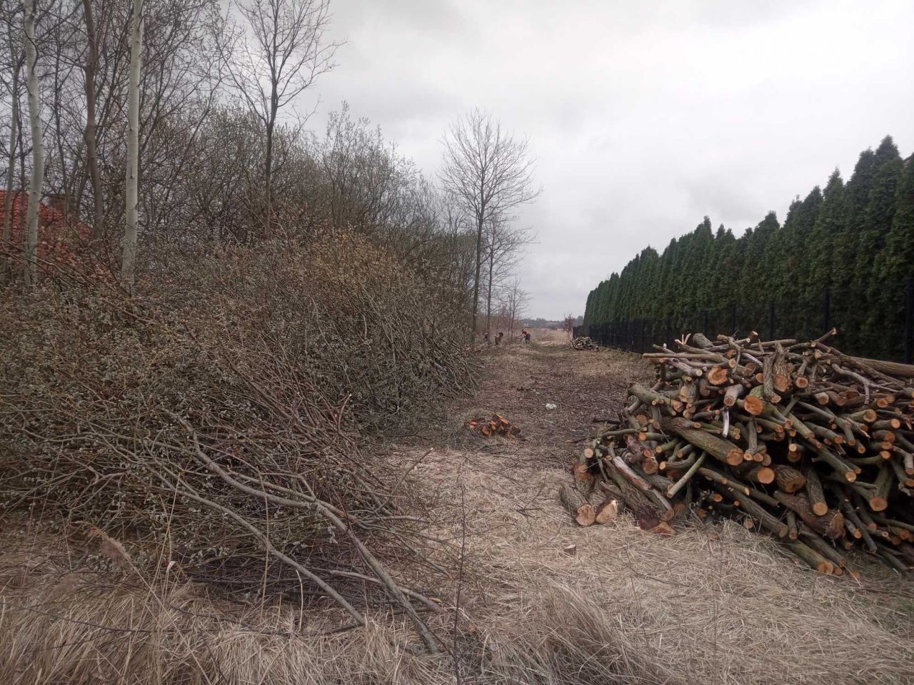 Działka budowlana Częstochowa, ul. Korkowa. Zdjęcie 3