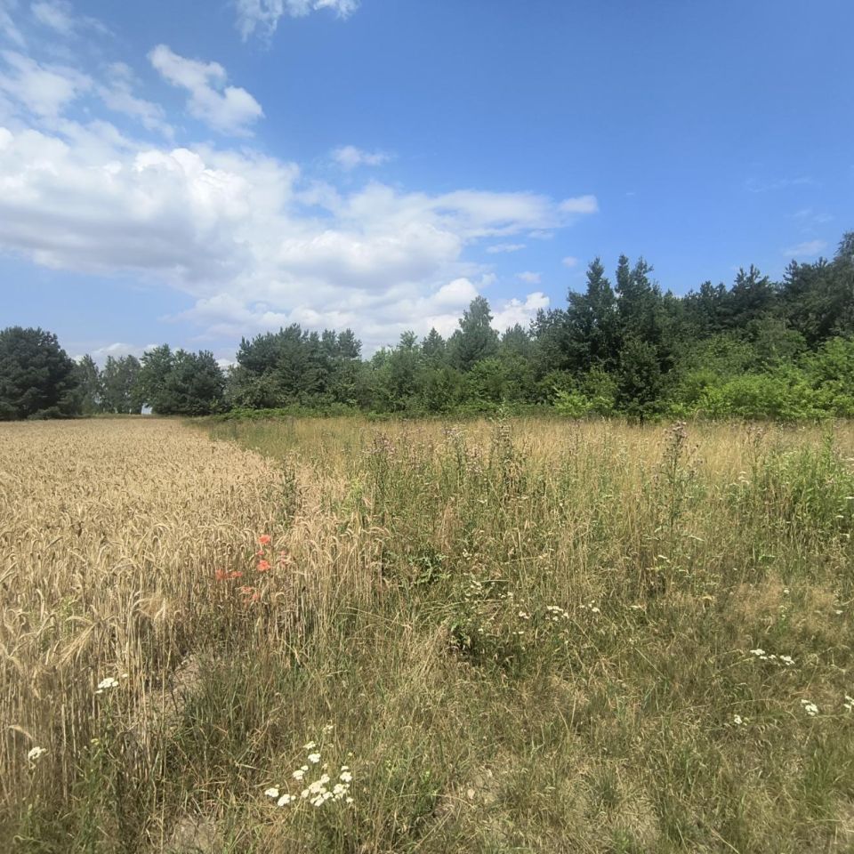 Działka rolno-budowlana Bęczkowice Poduchowne. Zdjęcie 2