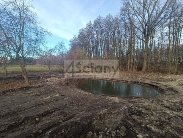 dom wolnostojący, 3 pokoje Baboszewo. Zdjęcie 9