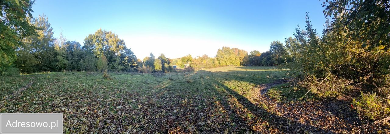 Działka siedliskowa Zastawno