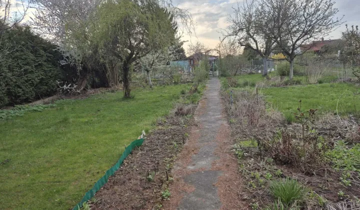 Działka rod Szczecin Dąbie