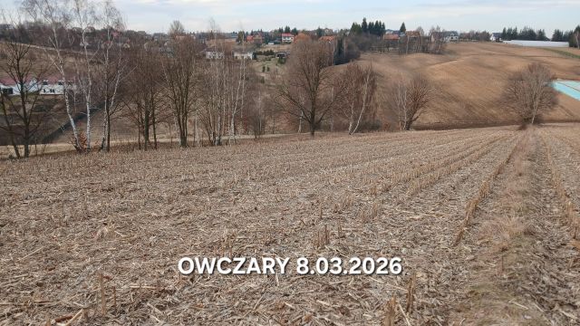 Działka rolna Owczary, ul. Sosnowa. Zdjęcie 1