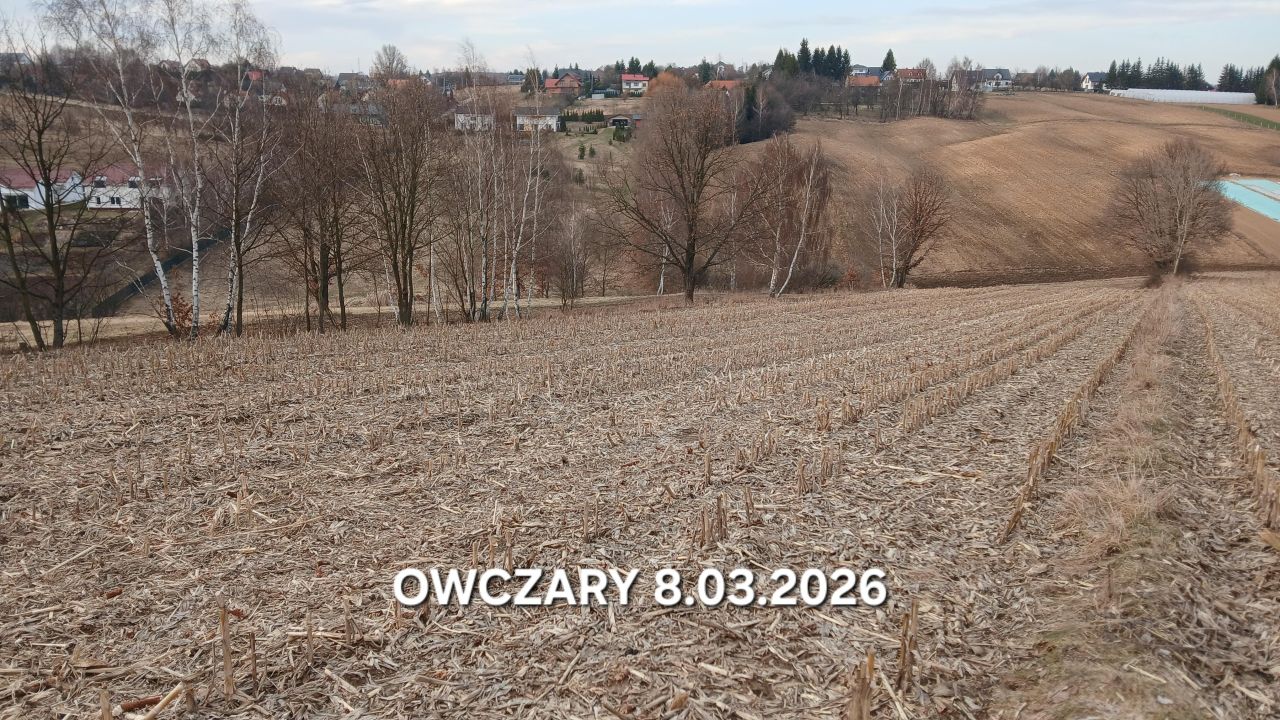 Działka rolna Owczary, ul. Sosnowa. Zdjęcie 1
