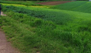 Działka budowlana Czułówek, ul. Za Szkołą