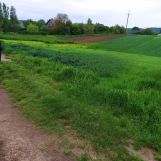 Działka budowlana Czułówek, ul. Za Szkołą. Zdjęcie 1