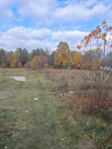 Działka siedliskowa Chinów. Zdjęcie 1