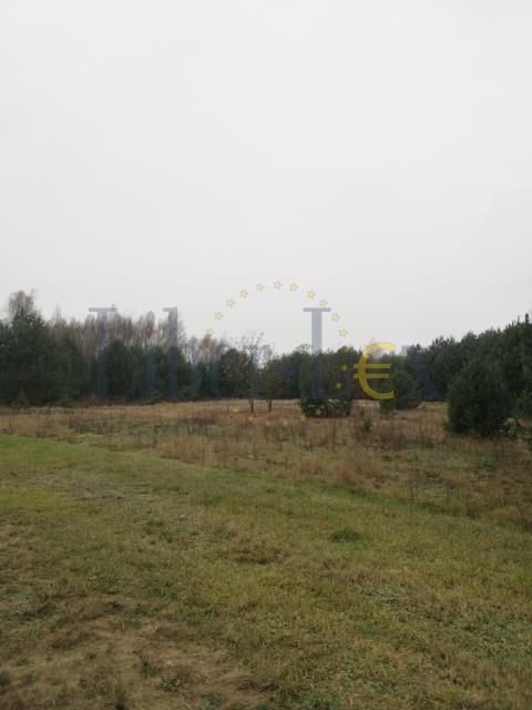 Działka rolna Szumlin. Zdjęcie 6