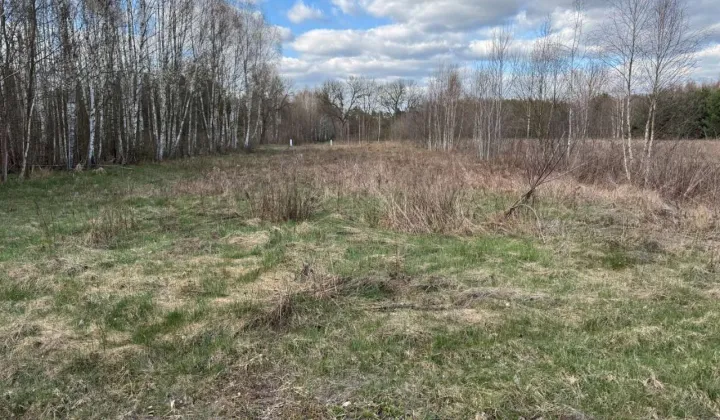 Działka budowlana Młoszów