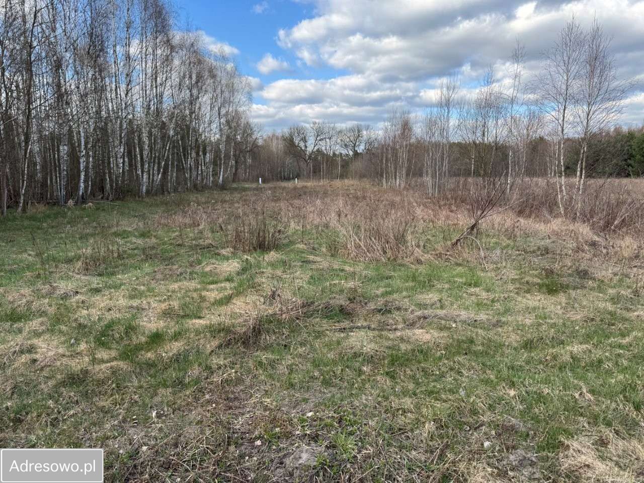 Działka budowlana Młoszów. Zdjęcie 1