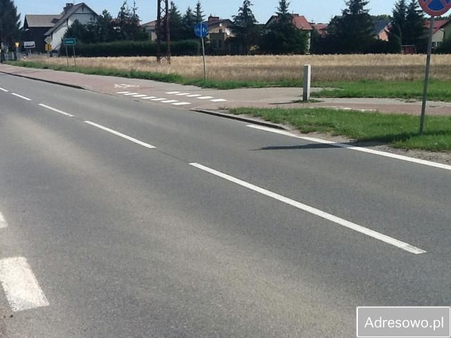 Działka inwestycyjna Paszowice. Zdjęcie 7