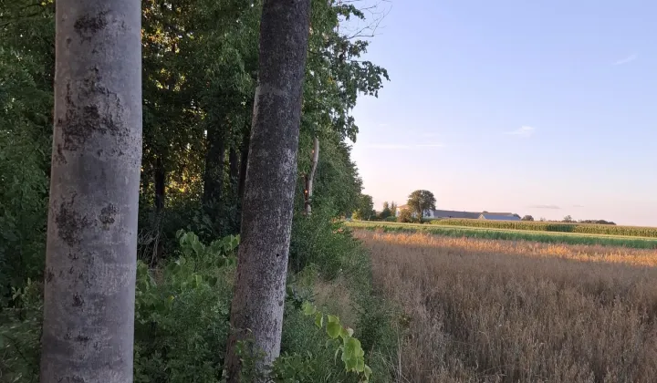 Działka rolno-budowlana Pęchratka Polska