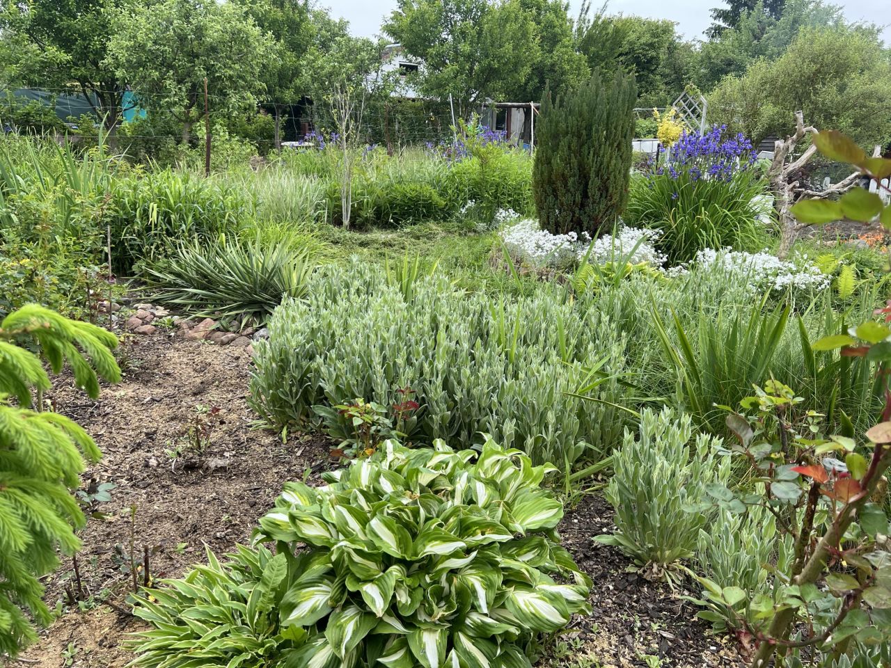 Działka rod Włocławek Południe , ul. Jastrzębia. Zdjęcie 11