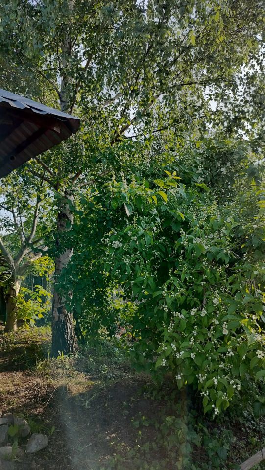 Działka rod Stalowa Wola. Zdjęcie 6