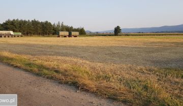 Działka siedliskowa Pieszyce Bratoszów