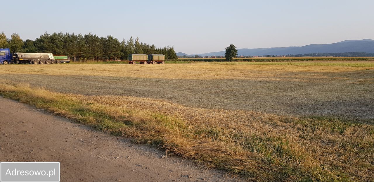 Działka siedliskowa Pieszyce Bratoszów. Zdjęcie 2