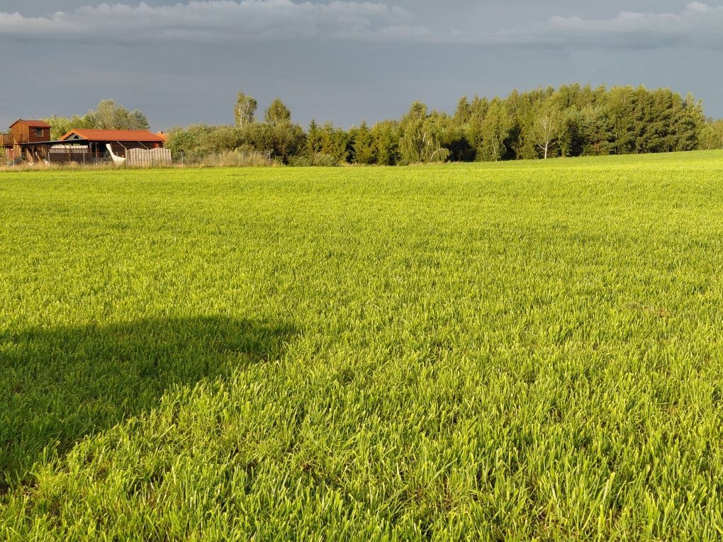 Działka rolna Górkło. Zdjęcie 2