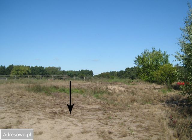 Działka Grotów. Zdjęcie 1