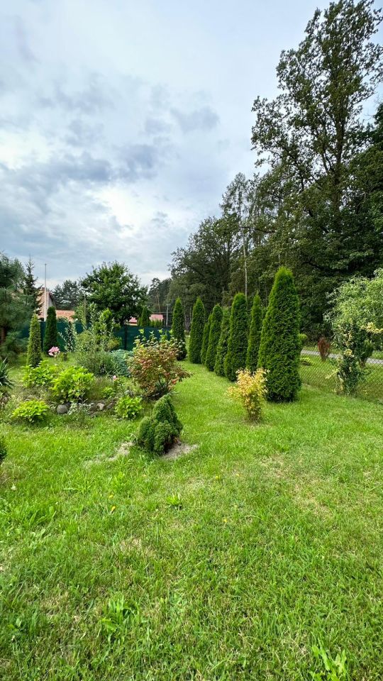 Działka budowlana Świerczyna. Zdjęcie 22