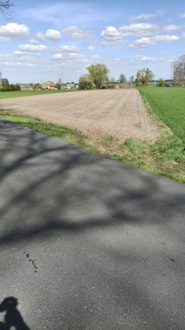 Działka rolno-budowlana Grodziec. Zdjęcie 1