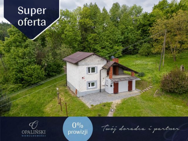 dom wolnostojący, 4 pokoje Łopuszka Wielka. Zdjęcie 1