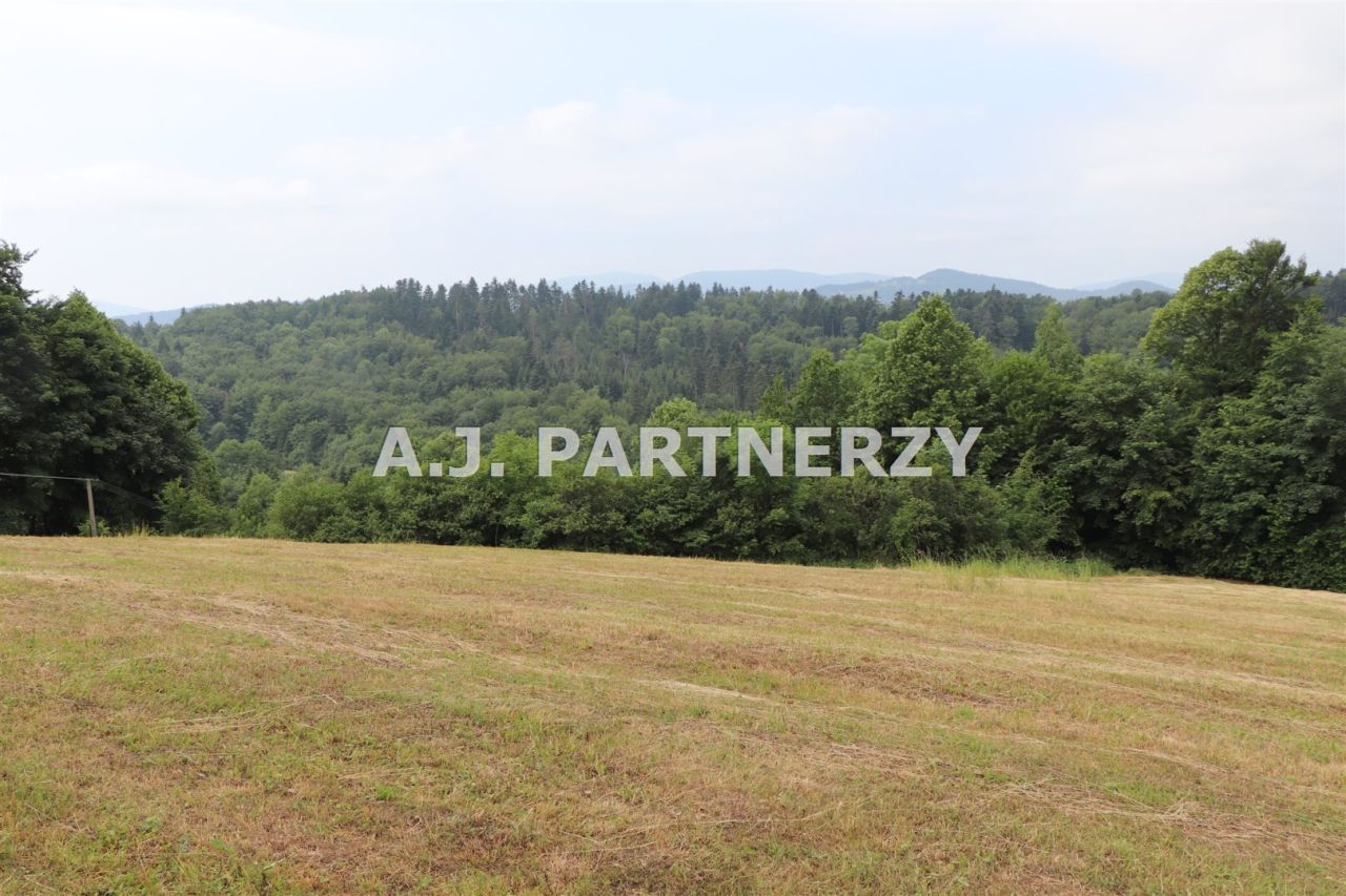 Działka Pasierbiec. Zdjęcie 11