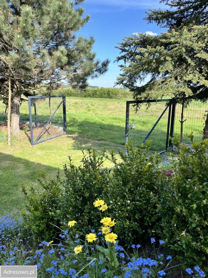 dom wolnostojący, 3 pokoje Zynie. Zdjęcie 18