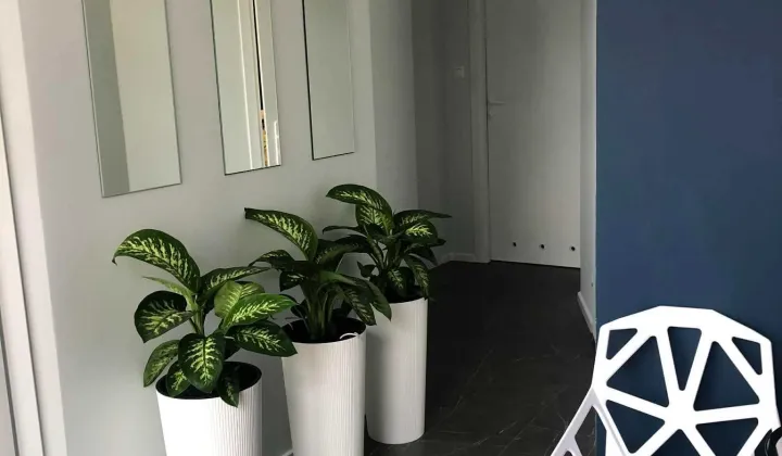 Lokal Gorzów Wielkopolski