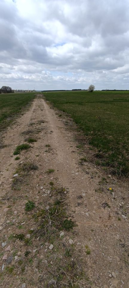 Działka budowlana Budy Czarnockie. Zdjęcie 4