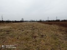 Działka rolno-budowlana Sosnowica. Zdjęcie 2