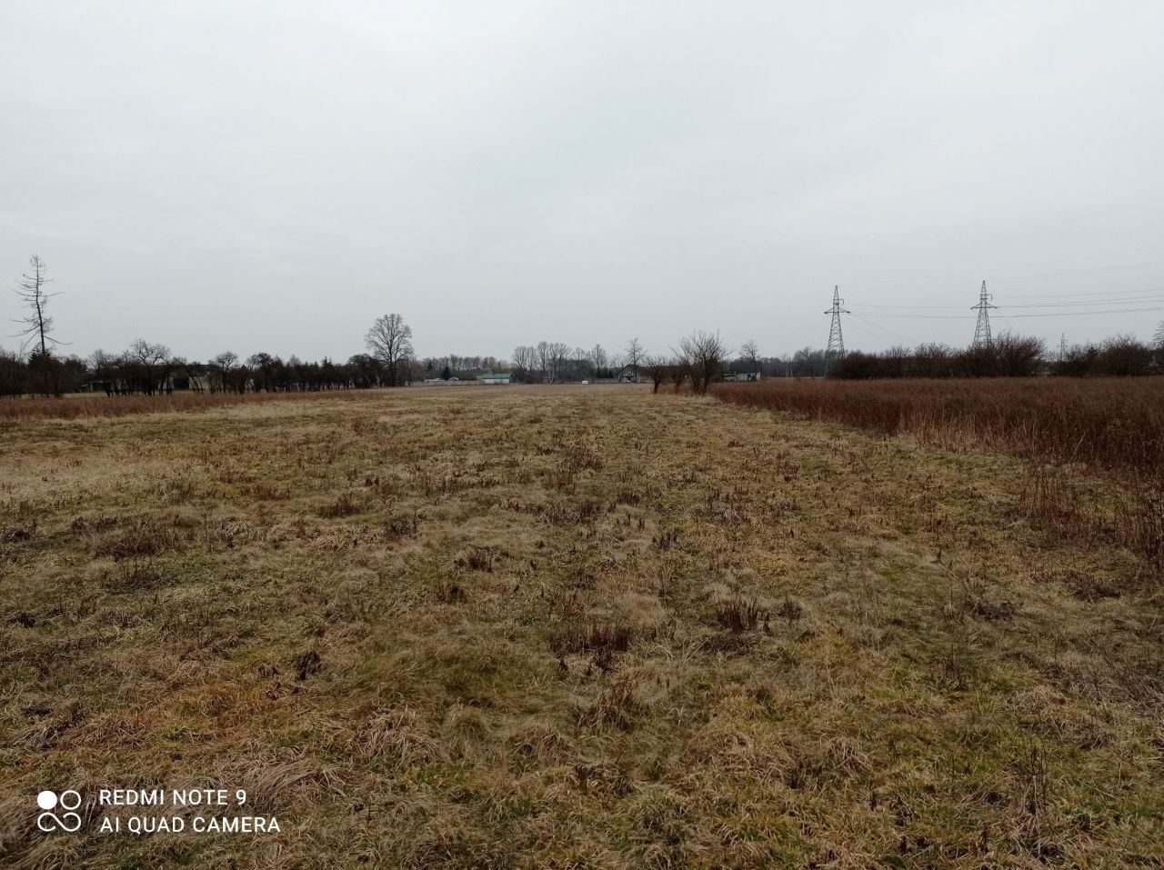 Działka rolno-budowlana Sosnowica. Zdjęcie 3