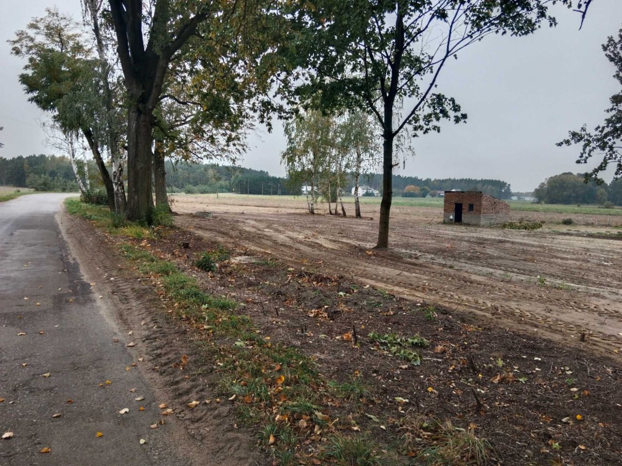 Działka rolno-budowlana Szla. Zdjęcie 5