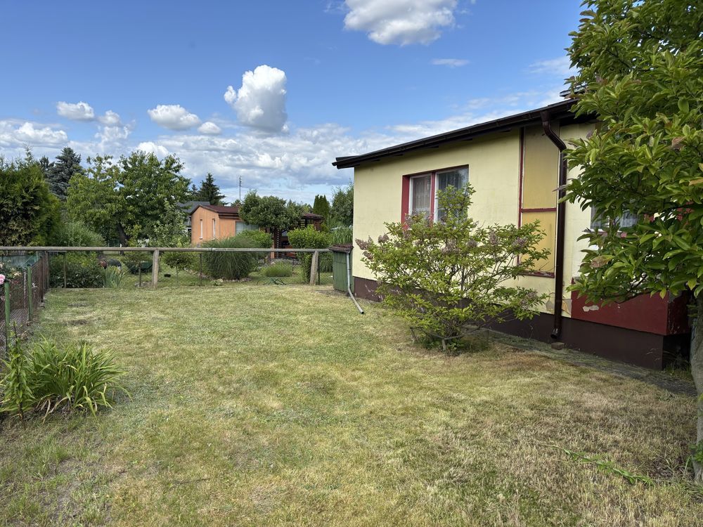 Działka rod Koninko. Zdjęcie 6