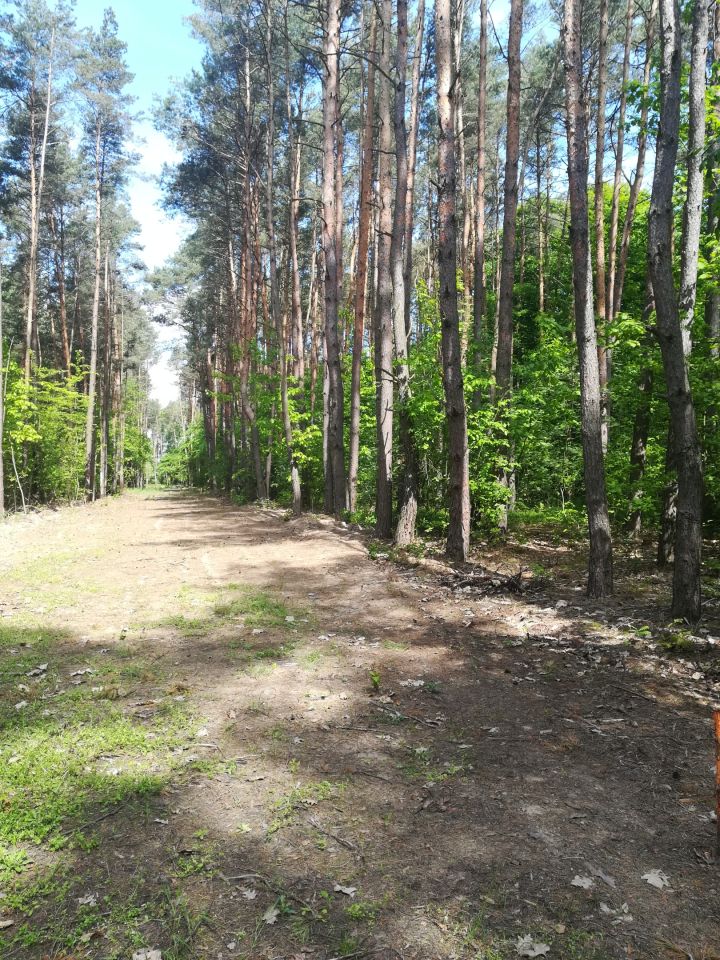 Działka budowlana Kwiatkowice-Las, ul. Jabłoniowa. Zdjęcie 2