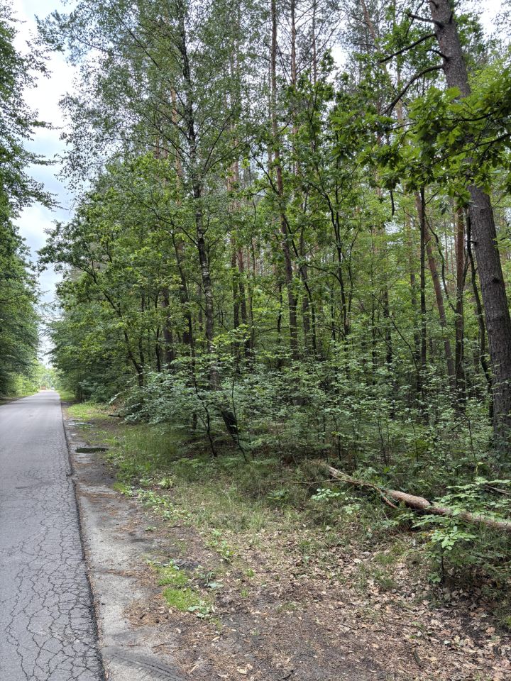 Działka leśna Biała Podlaska, ul. Graniczna. Zdjęcie 2