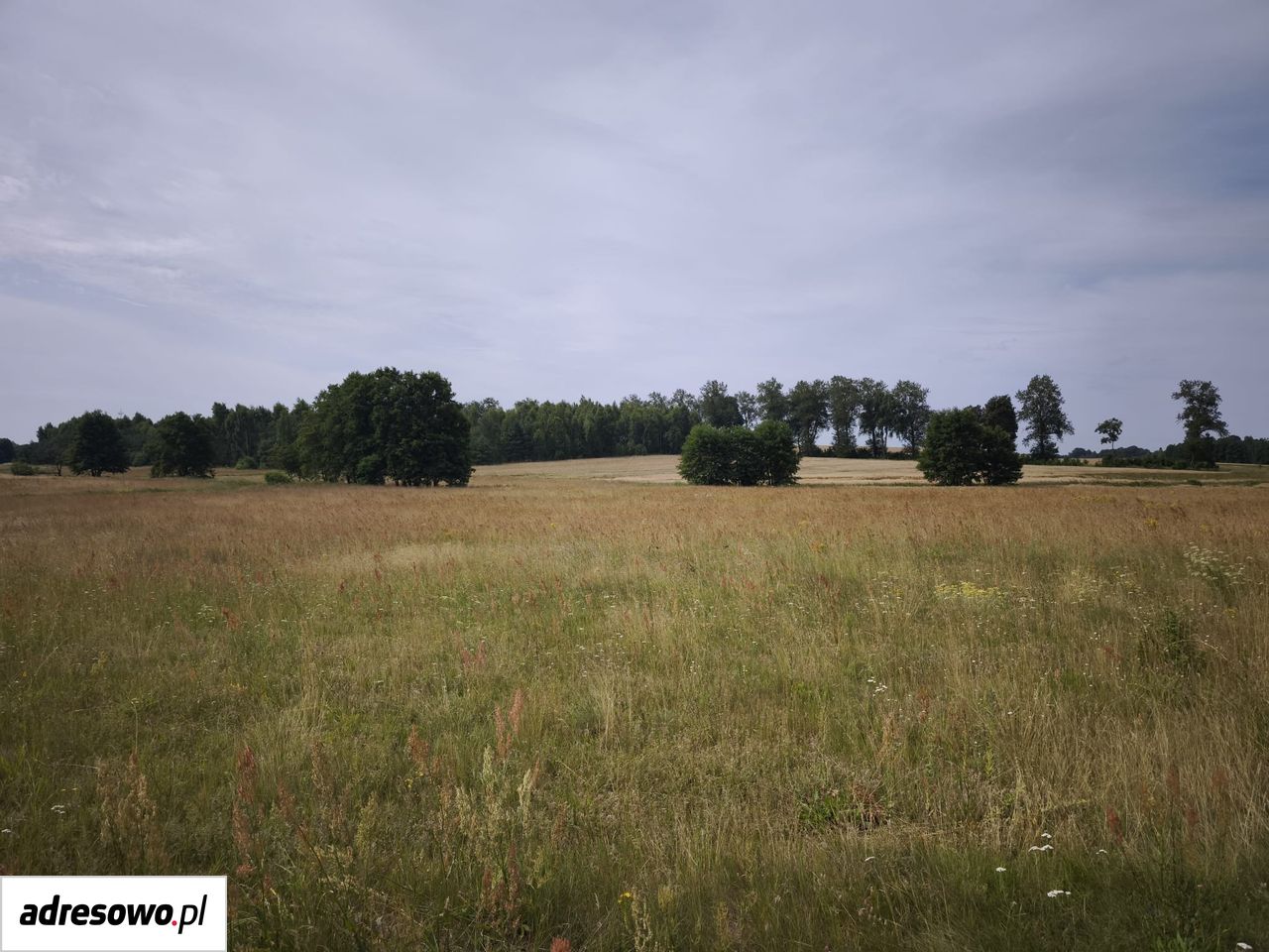 Działka rolno-budowlana Barkowo. Zdjęcie 5