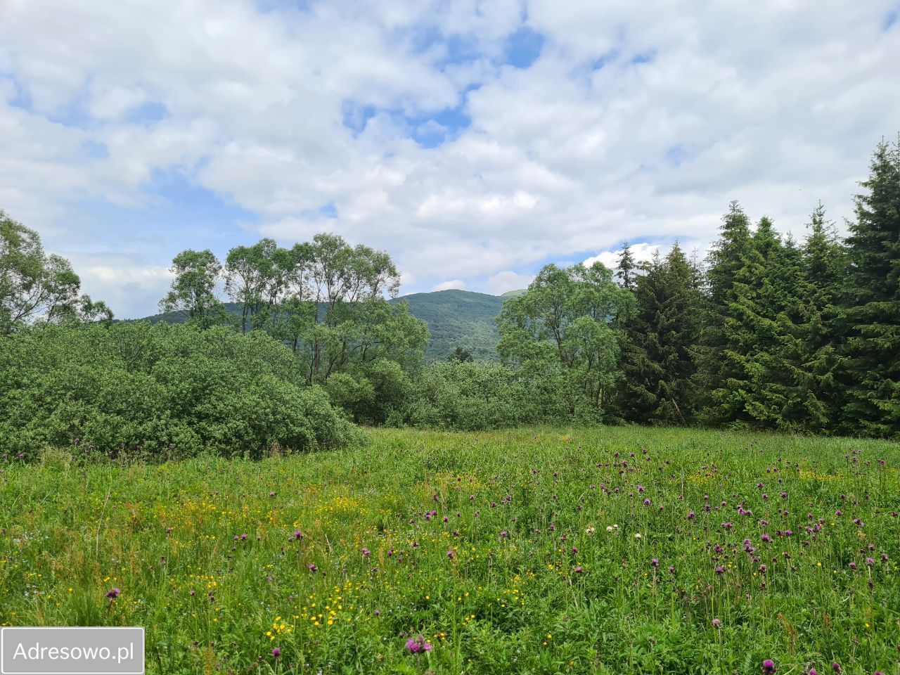 Działka rolna Smerek. Zdjęcie 3