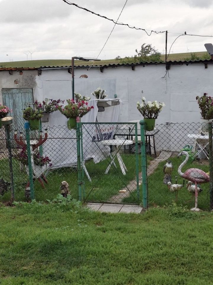 Mieszkanie 2-pokojowe Goryń. Zdjęcie 2