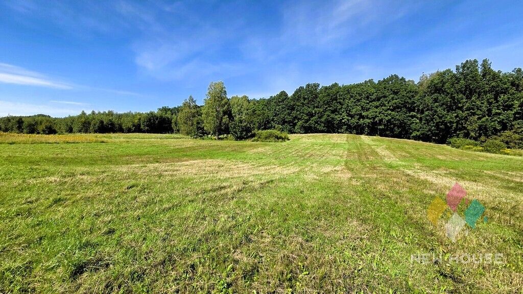 Działka Rozwady. Zdjęcie 3