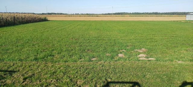 Działka budowlana Złoczew, ul. Fiołkowa. Zdjęcie 1