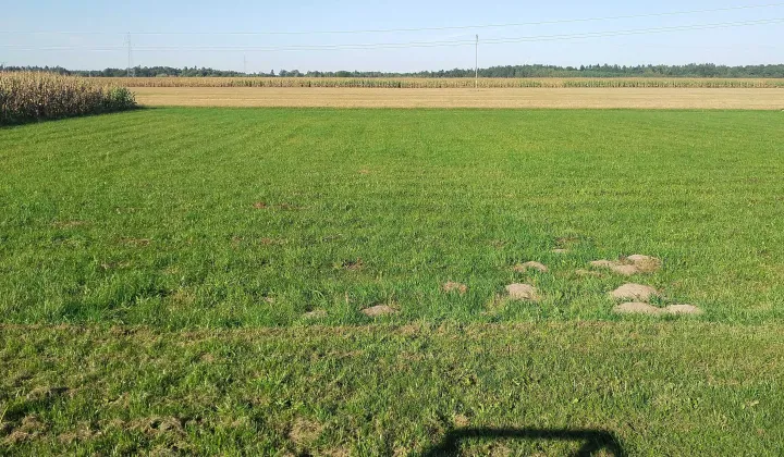 Działka budowlana Złoczew, ul. Fiołkowa