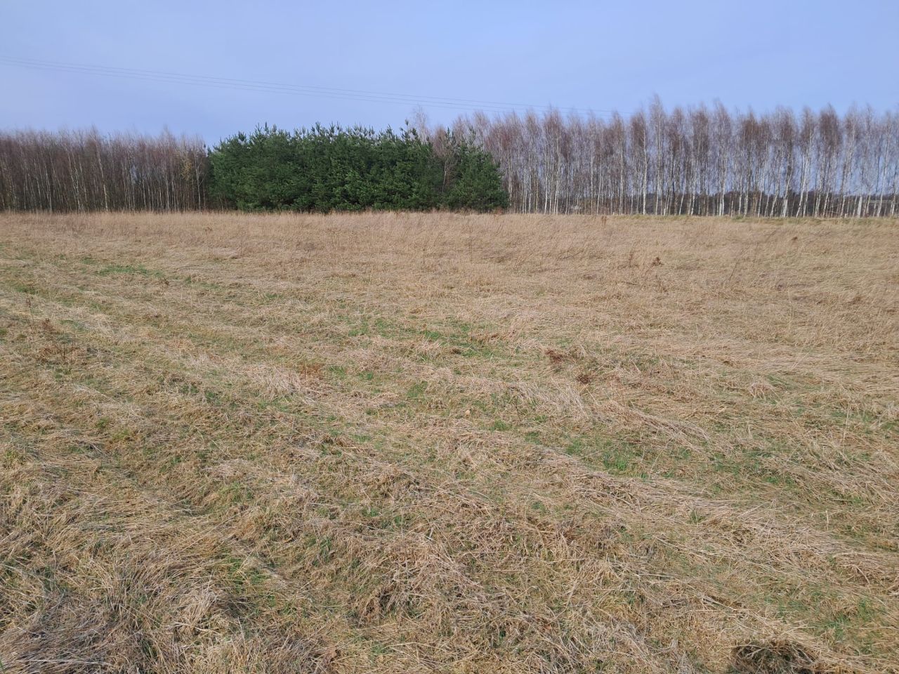 Działka rolna Błażkowa. Zdjęcie 3