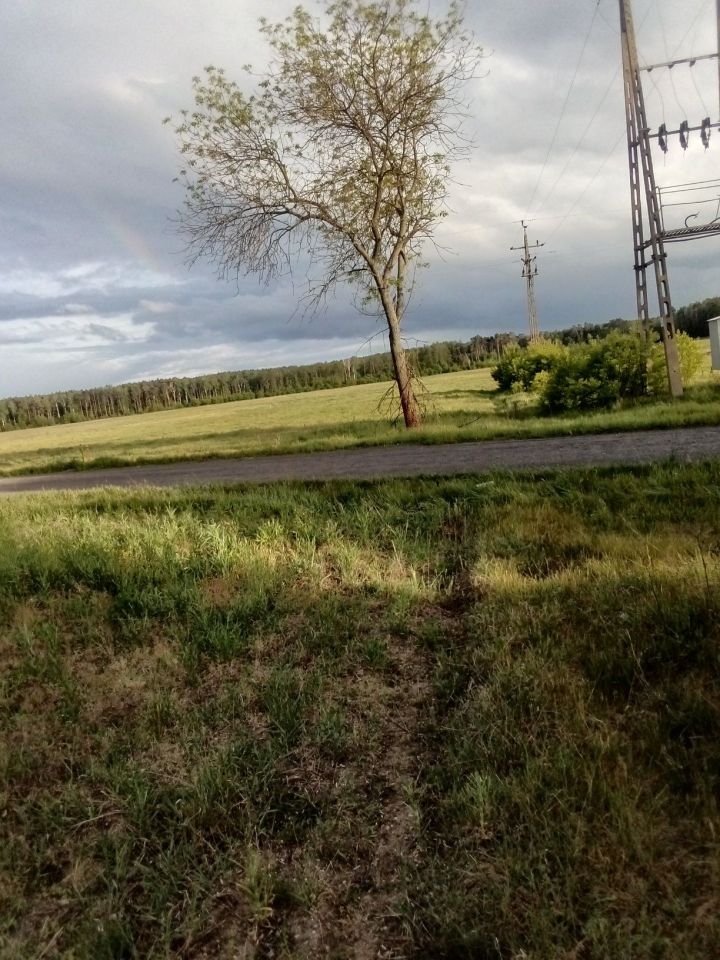 Działka inwestycyjna Wiaderno. Zdjęcie 6